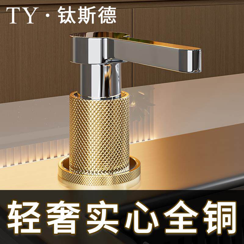 轻奢实心全铜厨房洗菜盆洗洁精压取器水槽皂液器加长按压器延长管