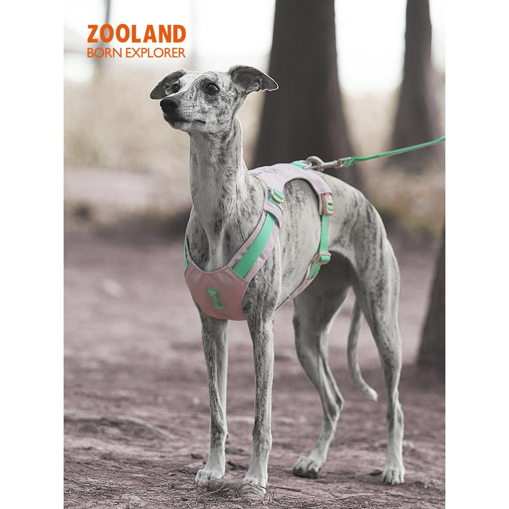 ZOOLAND狗狗胸背牵引绳遛幼小中大型犬泰迪柯基比熊边牧博美链子图片