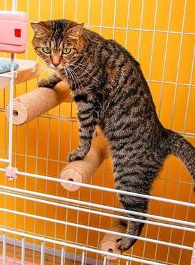 Huaxin Pets 猫笼楼梯剑麻柱爬梯实木猫柱磨爪笼子专用梯子猫爬架