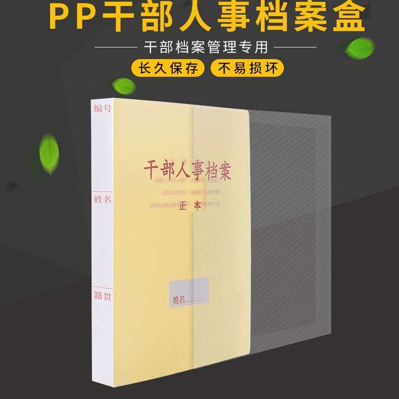 10个装 A4 人事档案盒 新标准干部人事档案资料盒个人廉政档 6873