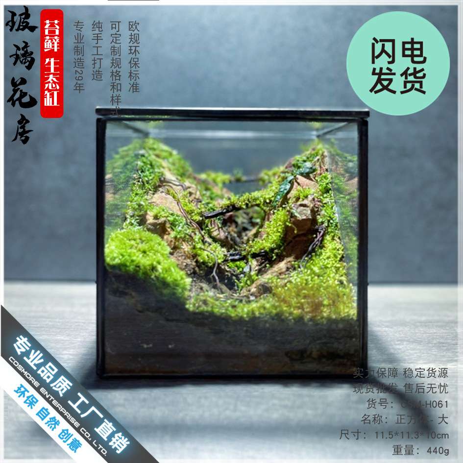 植物青苔微景盒子玻璃盆景苔藓微景观微缩森林生态瓶缸桌面摆件罩