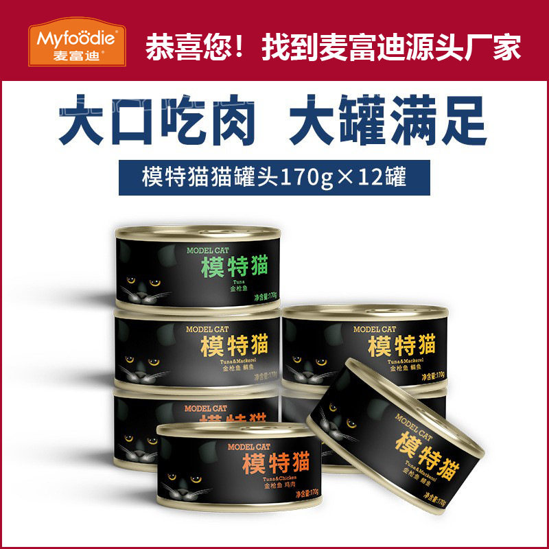 麦富迪猫咪罐头模特猫黑