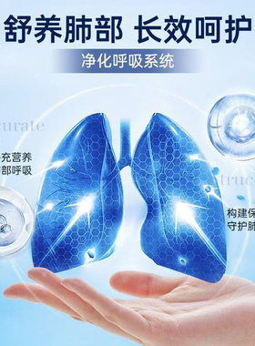 SY-YS4【】陈皮槐花薄荷银杏片槲皮素LXJ