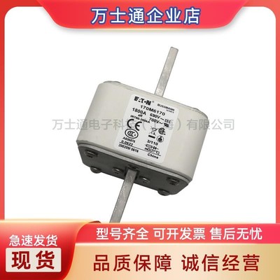 170M6138170M6139/6140/6141/6142/6143/6144/6145全新熔断器现货