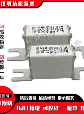 170M2762 170M2763 170M2764 170M2765熔断器巴斯曼170M2766