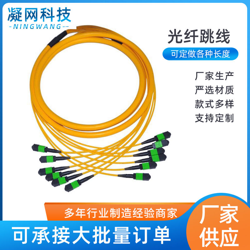 MPO/MTP-MPO/MTP 72芯3米单模万兆100G光纤跳线