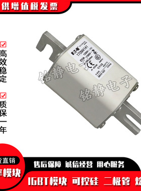 170M4926 170M4927 170M4928 170M4929巴斯曼熔断器现货170M4930