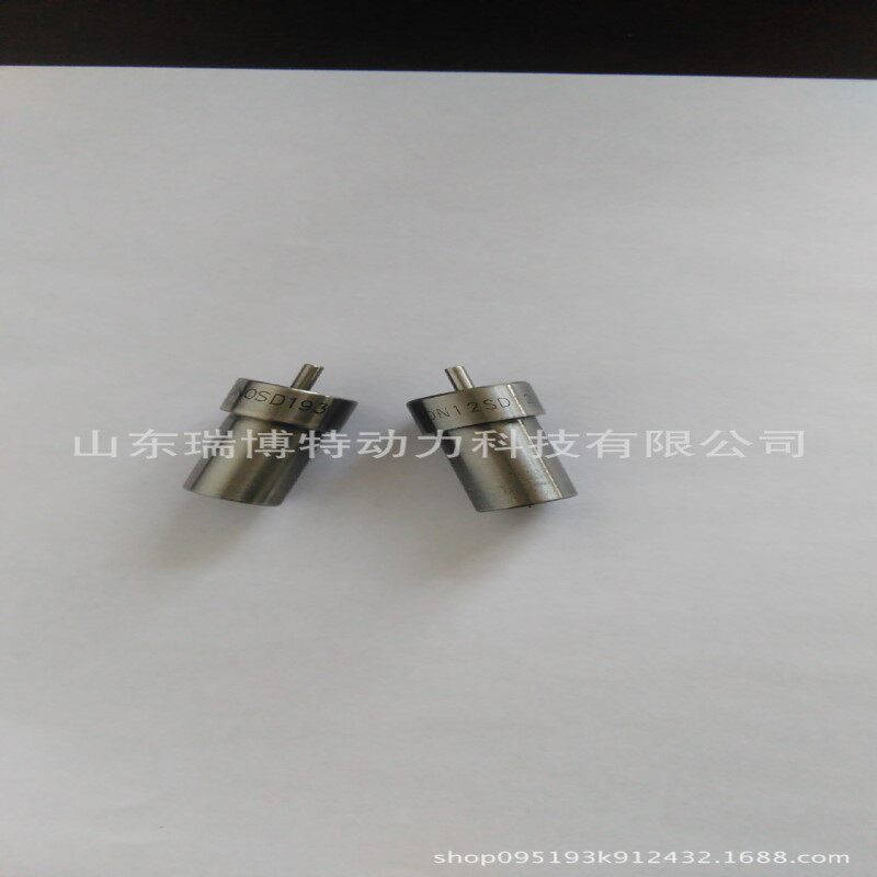 供应DN-SD油嘴 DN0SD256 专业油嘴生产厂家 DNSD油嘴品种齐全