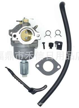 适用百利通Briggs&Stratton 799727 698620 796109 791886化油器