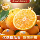 橙先森赣南脐橙赣州发货江西赣州橙鲜橙赣南新鲜橙子10斤装