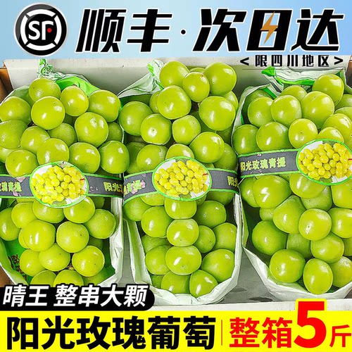 阳光玫瑰葡萄5斤新鲜整箱包邮