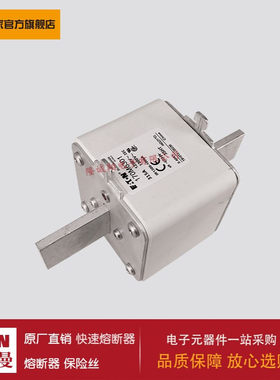 熔断器170M6281 170M6299 170M6301 170M6303 170M6325 170M6376