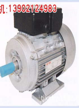 YC系列（C02）电容起动型分马力单相电机/天/