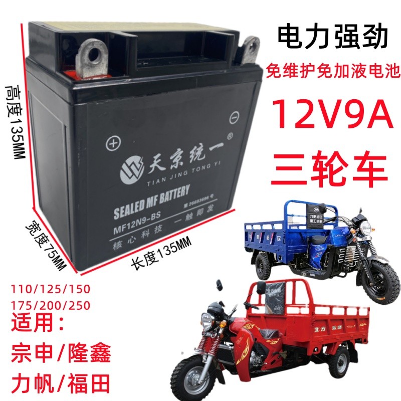 天京统一12N9-4B摩托车正三轮车150 175电瓶蓄电池12V9AH 男士125