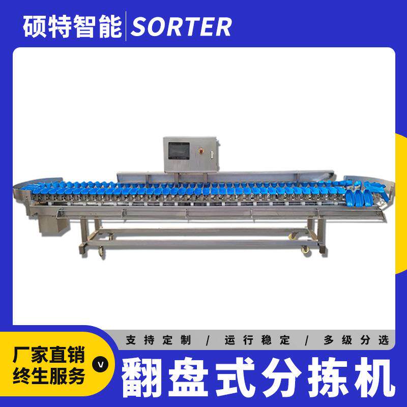 释迦果称重等级分拣机 木瓜重量选果机 人参果小型克重自动分选机