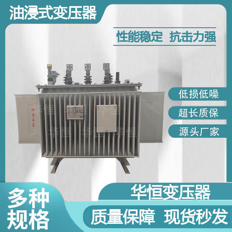 厂家生产特殊电力变压器/S11/S13油浸式变压器/13.8KV/0.5KV图片