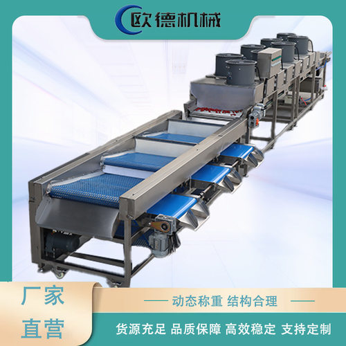 蓝莓蔓越莓过滤筛选分选设备 304不锈钢材质 筛选精准 速度可调