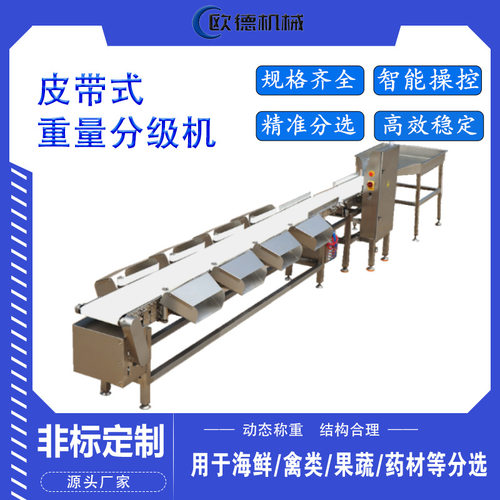 海鲜产品重量分级机鱼虾分选机 鱿鱼重量分选机 自动上料称重