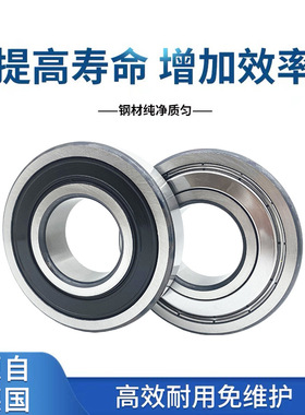 FAG轴承 6009  6009.2ZR 6009.2RSR C3轴承