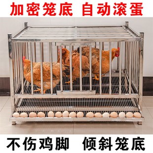 不锈钢鸡笼自动滚蛋鸡笼多层笼子家用养殖下蛋鸡母鸡笼特大号鸡舍