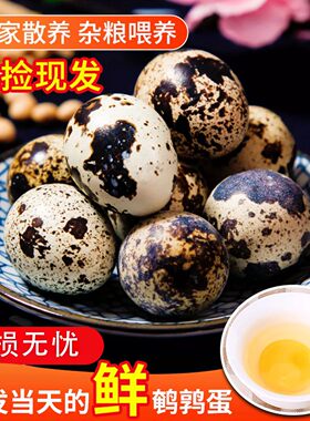 新鲜鹌鹑蛋杂粮喂养现捡现发营养丰富口感细腻家禽蛋类40枚