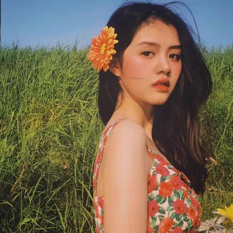 花朵发夹头饰非洲菊发圈大菊花皮筋海边沙滩渡假神器头花饰品发饰