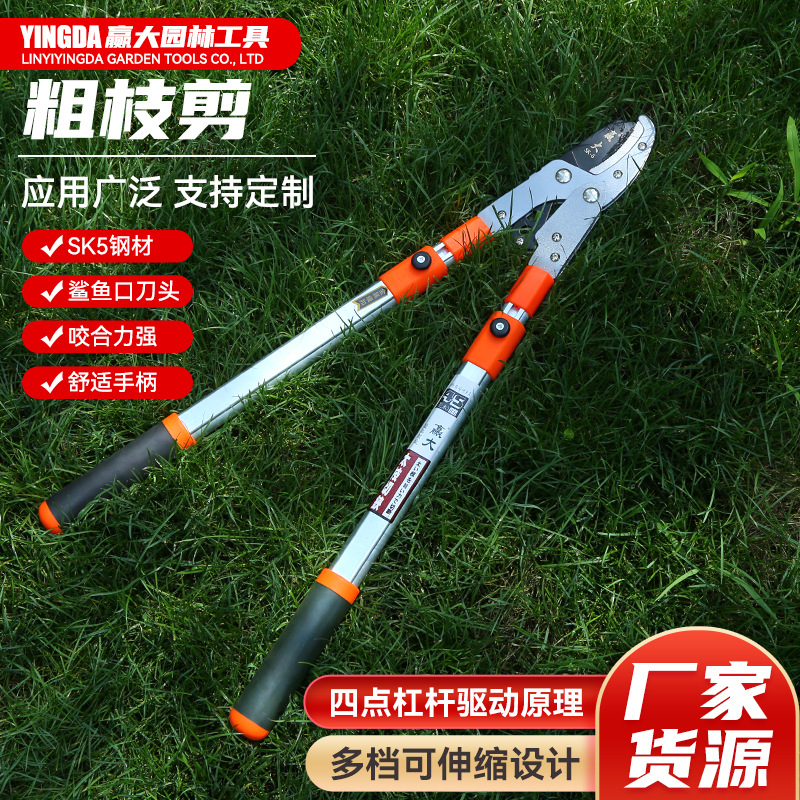 赢大粗枝剪园林修枝大力伸缩剪铝合金园林修枝剪刀园林工具果枝剪