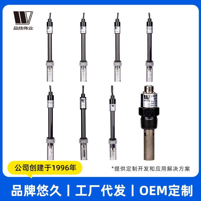 电导电极电导率仪电导仪实验室探头传感器DJS-1铂黑光亮