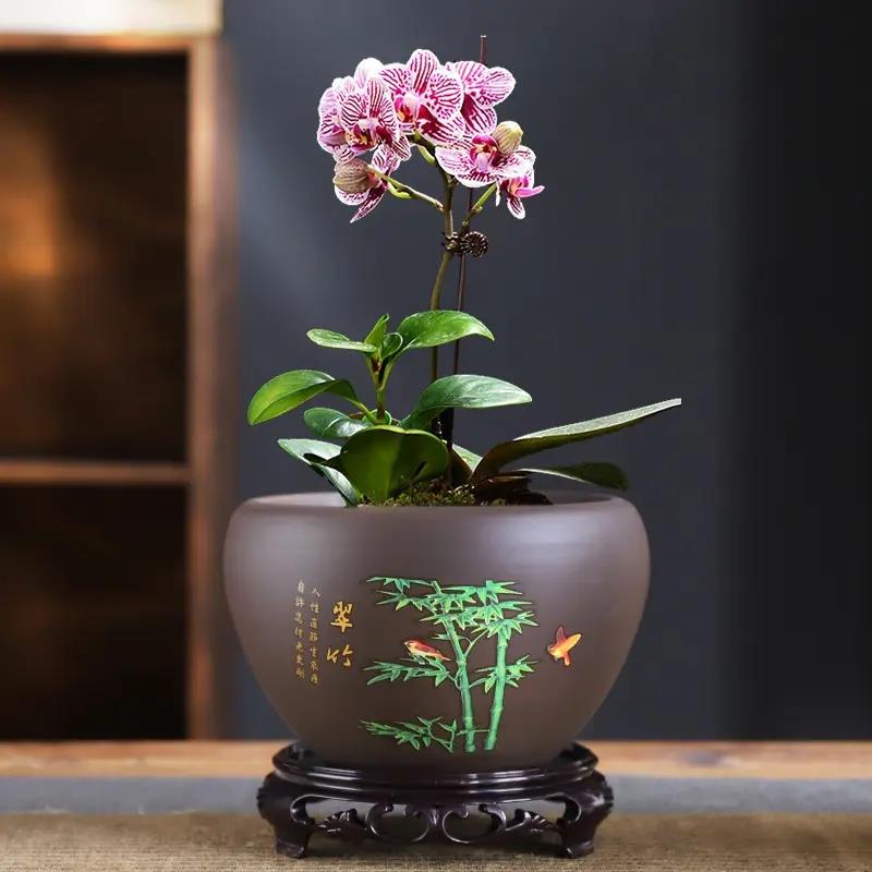 紫砂花盆带托盘粗陶透气蝴蝶兰兰花多肉高桩复古盆栽大号大口径盆