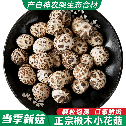 神农架山珍椴木小花菇