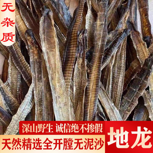 广地龙中药材正品广西产地直发全开整条无泥土野生蚯蚓白颈地龙干