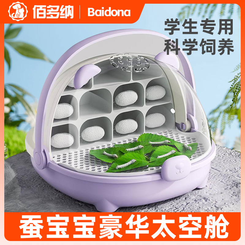 蚕宝宝蚕卵学生专用养蚕套装
