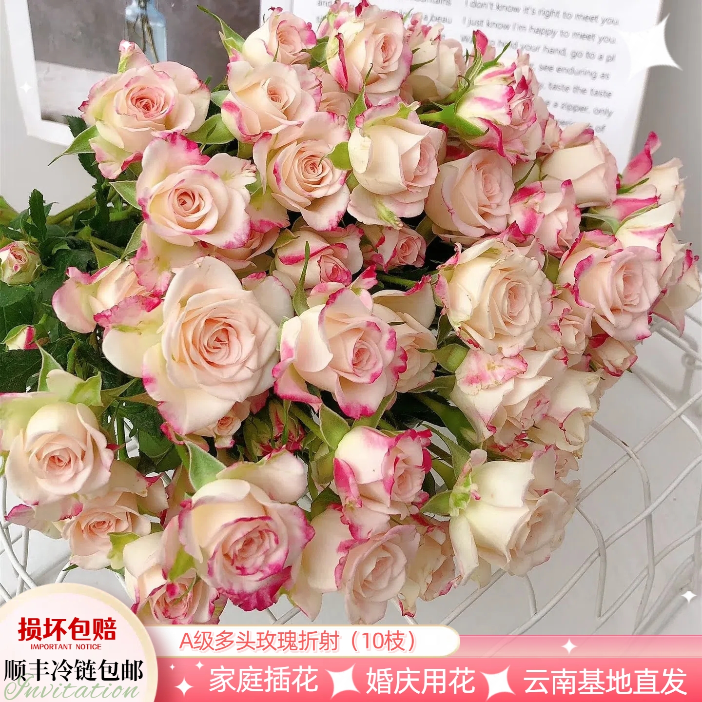 A级折射多头玫瑰花家庭鲜切花