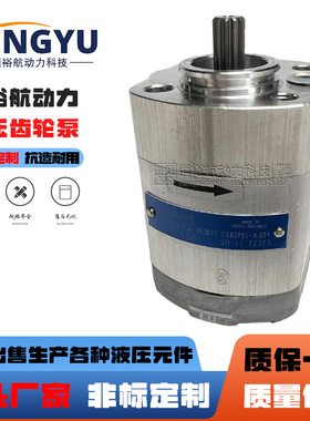 捷克液压泵JIHOSTROJ齿轮泵P23-3.6L-A03D01-CG02P01-N.024油泵