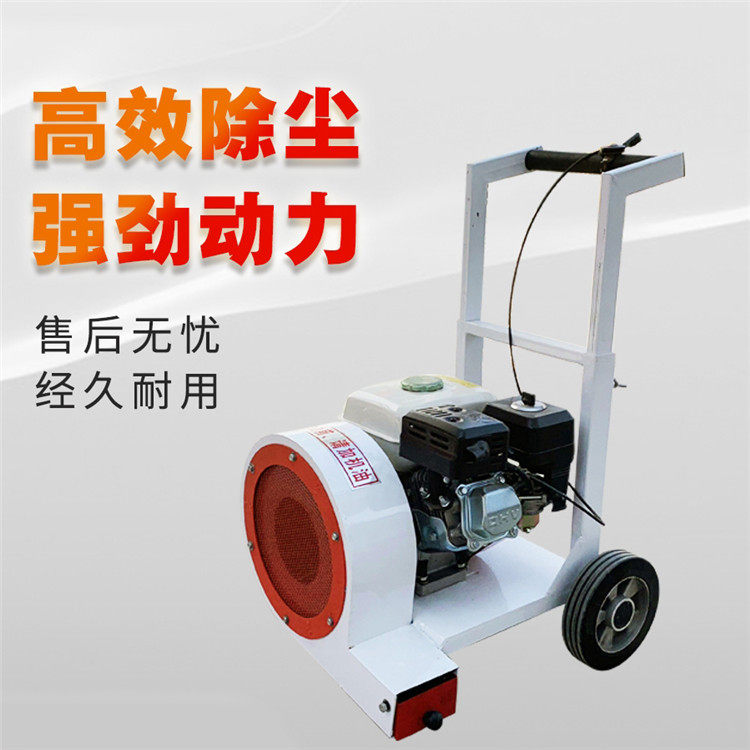 除尘手推式马路吹风机 CFJ-160型汽油机动力地面清扫吹尘机,办公设备/耗材/相关服务,其它,淘宝优惠券,粉丝福利购,淘宝优惠卷