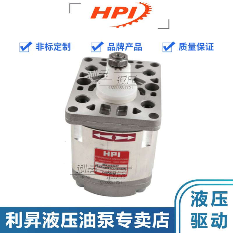 法国HPI齿轮泵P1BAN2022BL10B02N 2026 2030 2018 2015 2012 2010