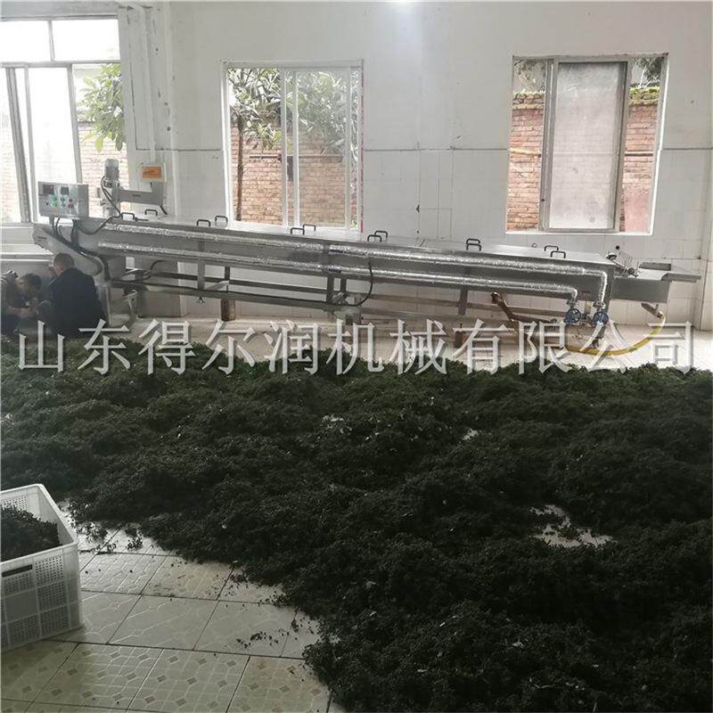 定做型加工江津青花椒清洗杀青流水线真空冷藏鲜花椒保鲜设备