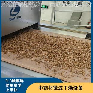 面包虫子快速烘干设 昆虫干燥机 活体虫微烘TPC波干道炉 流水线式