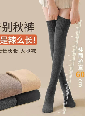 秋冬软毛加厚保暖显瘦过膝袜女