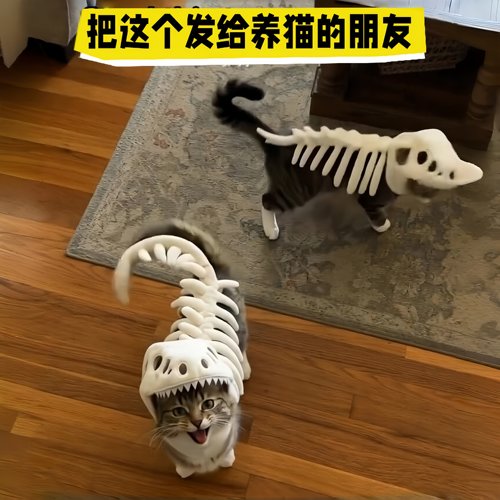 猫狗通用恐龙骨架头套搞笑拍照