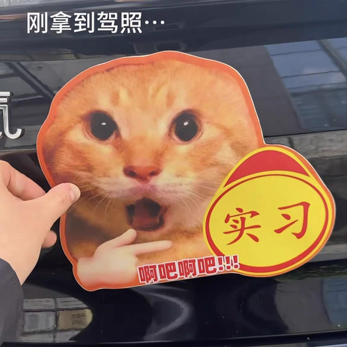 实（撕）习猫meme表情包装饰车贴