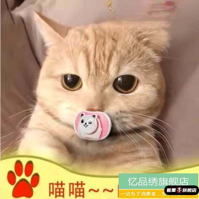 小猫咪安抚奶嘴宠物猫用安抚奶嘴专用神器新生幼犬幼猫睡觉磨牙玩图片
