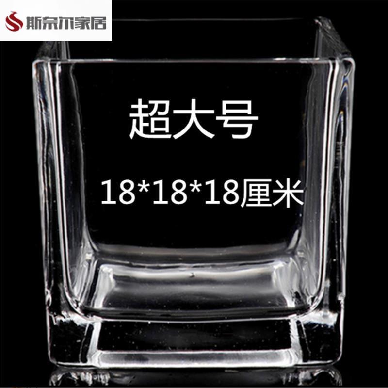 水培植物玻璃四方方缸花瓶水养白掌客厅摆件台面透明水晶玻璃花盆