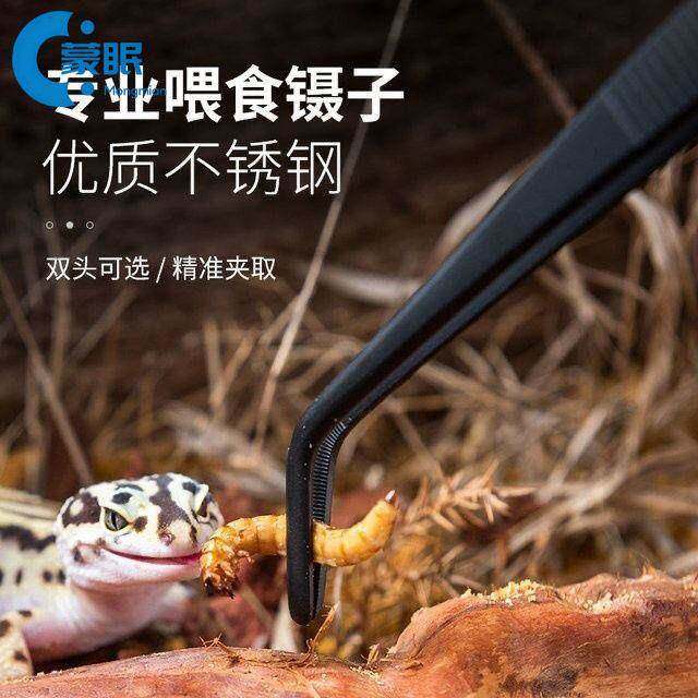 喂食镊子加厚加长加硬守宫雷龙鱼鱼缸乌龟宠物爬宠仓鼠夹子不锈钢,居家布艺,镊子,淘宝优惠券,粉丝福利购,淘宝优惠卷