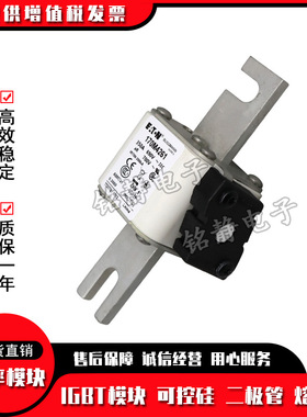 170M4243 170M4244 170M4245 170M4246 170M4247熔断器型号齐全