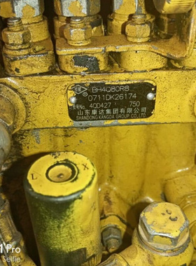 原厂油泵 4QD427 康达油泵 BH4Q80R8 现货供应