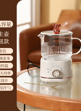 多功能迷你养生杯办公室烧水杯煮茶花茶壶家用小型养生壶伴手礼品