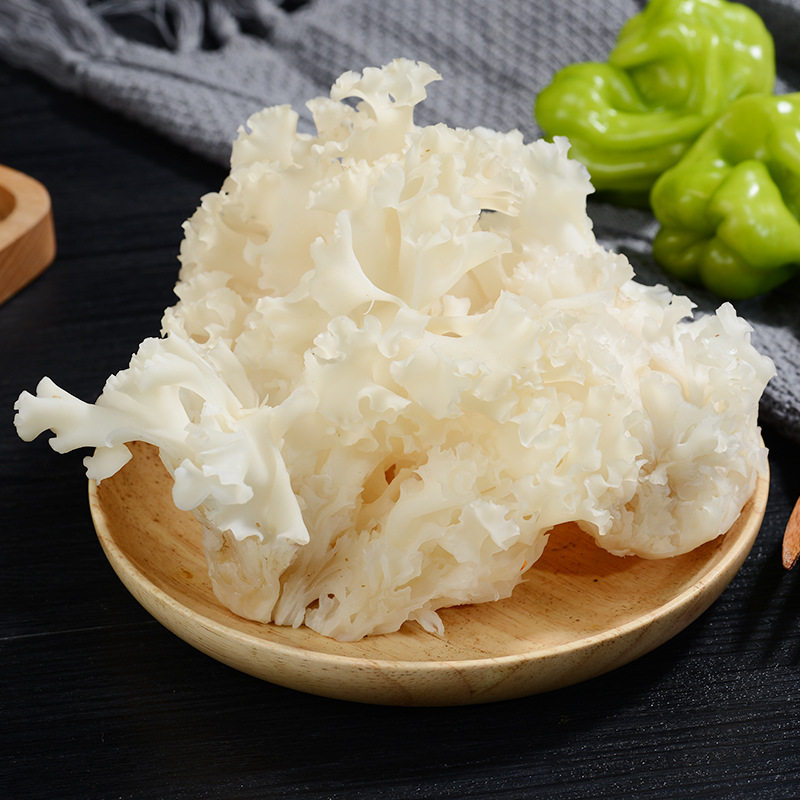 云南特产新鲜绣球菌绣球花餐饮生鲜食用菌煲汤食材菌子现货