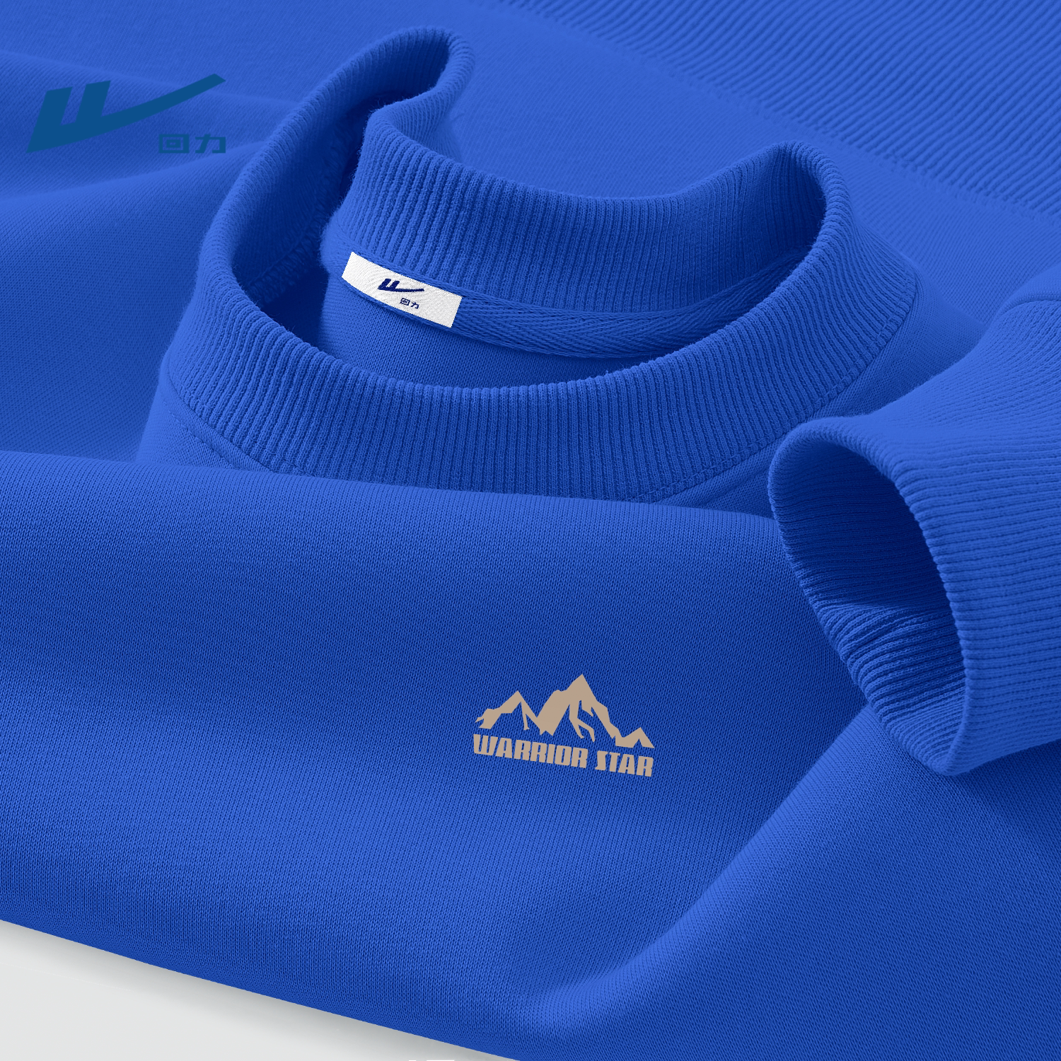 回力克莱茵蓝卫衣男款春秋装学生套头上衣男生今年流行衣服春装男