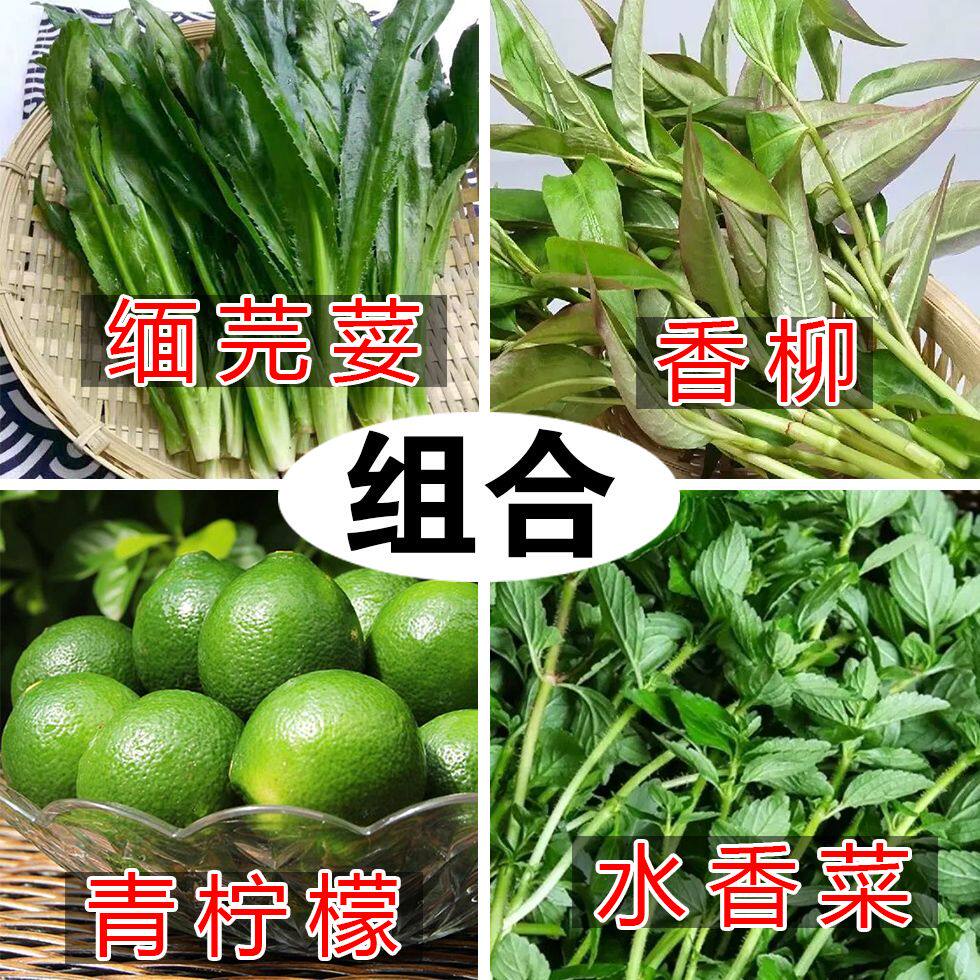 多种佐料组合云南缅芫荽香菜香柳青柠檬德宏新鲜蘸水调料野菜蔬菜